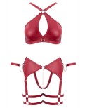 Ensemble BDSM bordeaux - par Cottelli Bondage