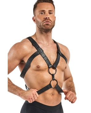 Harnais de bondage Rocco - Bedroom Fantasies