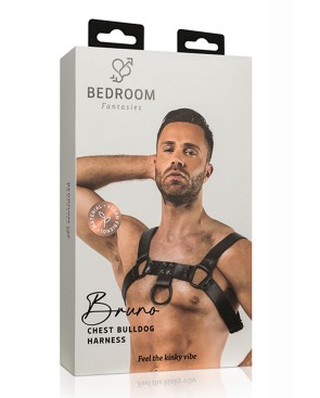 Harnais de bondage Bruno - Bedroom Fantasies