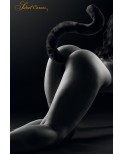 Plug noir queue de Chat Noir - par Sweet Caress