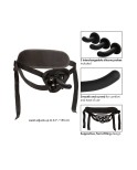 Harnais Boundless Curve Pegging Kit3 Universel par Calexotics