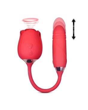 Stimulateur à va-et-vient et aspiration Blisslink - DIK