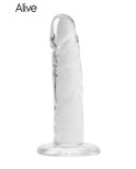 Gode ventouse Jelly Majestic - par Alive Gode ventouse Jelly Majestic - par Alive